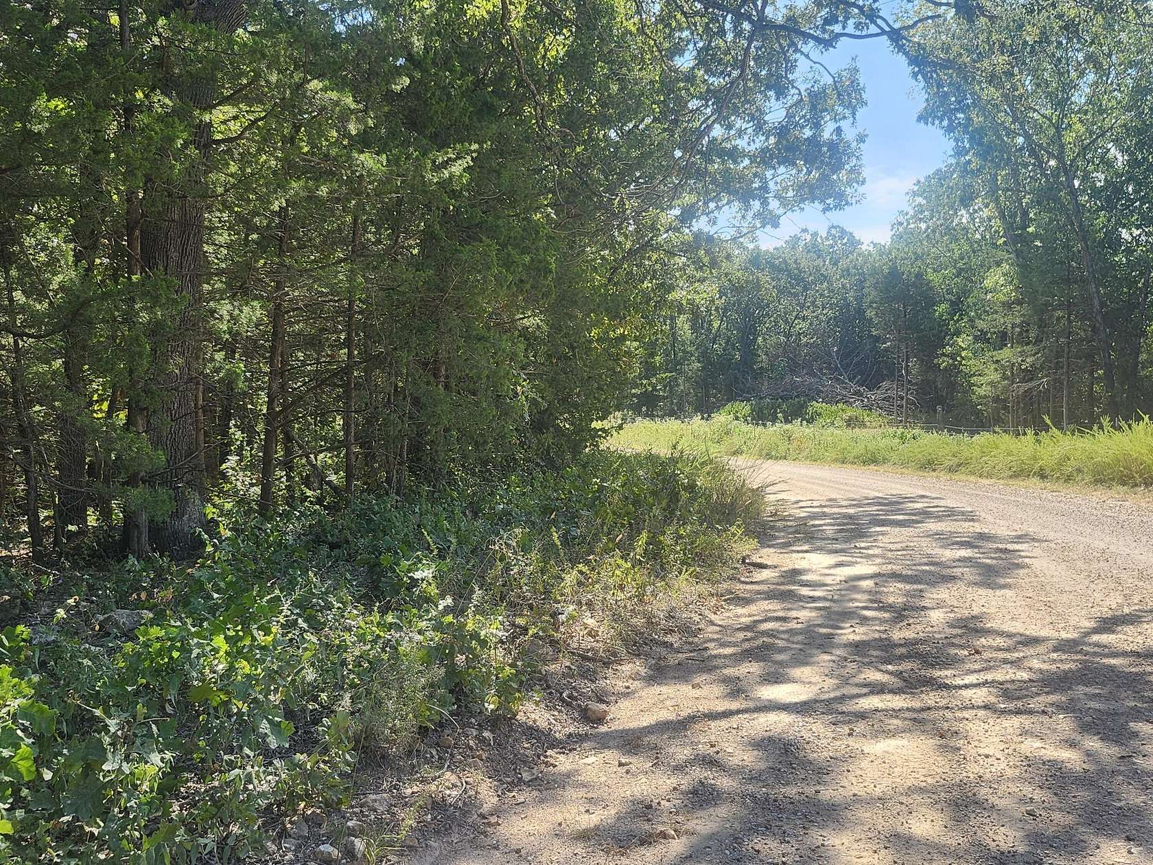 28.2 Acres of Recreational & Residential Land for Sale in Flemington, Missouri