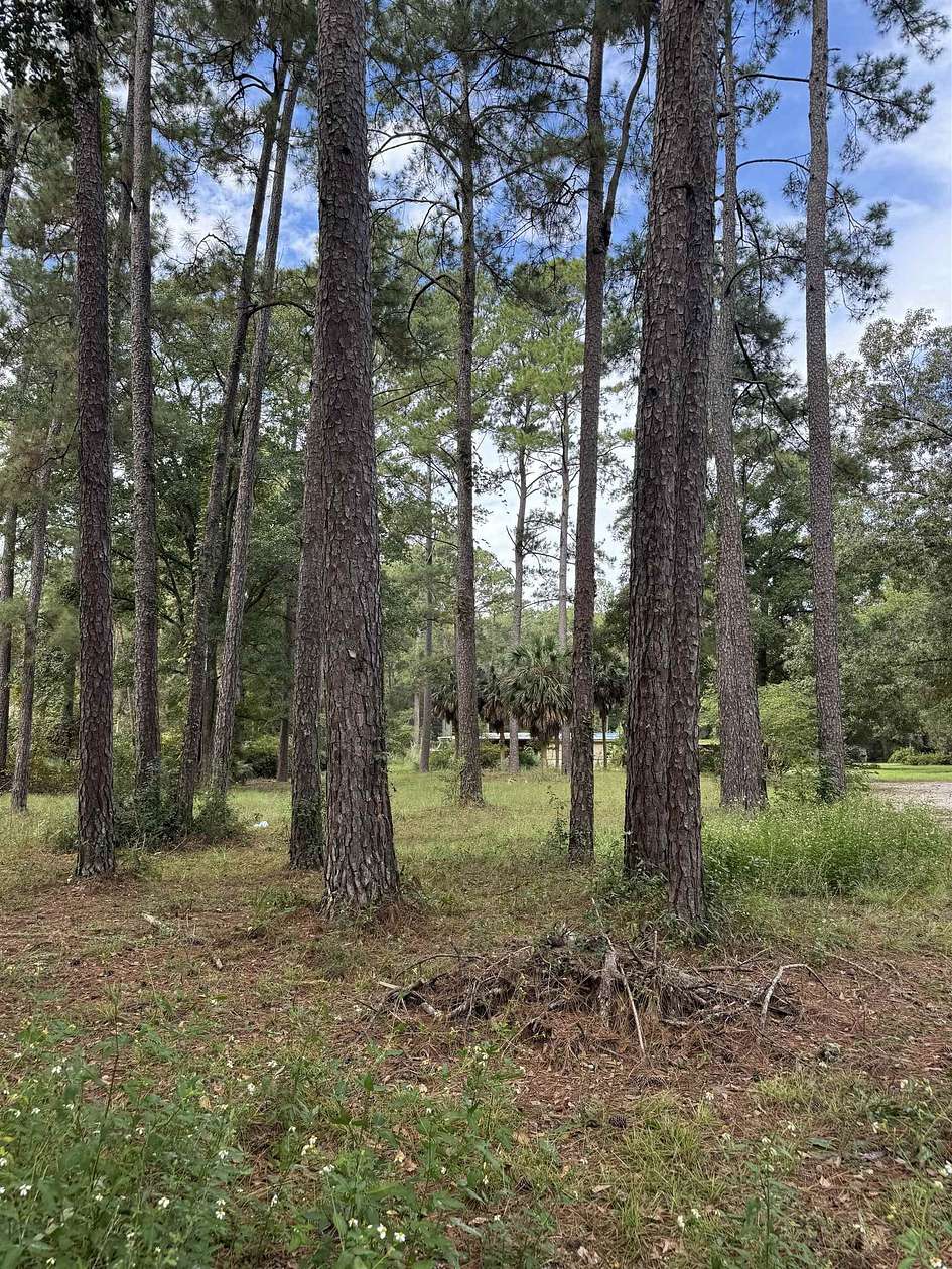3 Acres of Land for Sale in Tallahassee, Florida