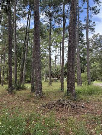 3 Acres of Land for Sale in Tallahassee, Florida