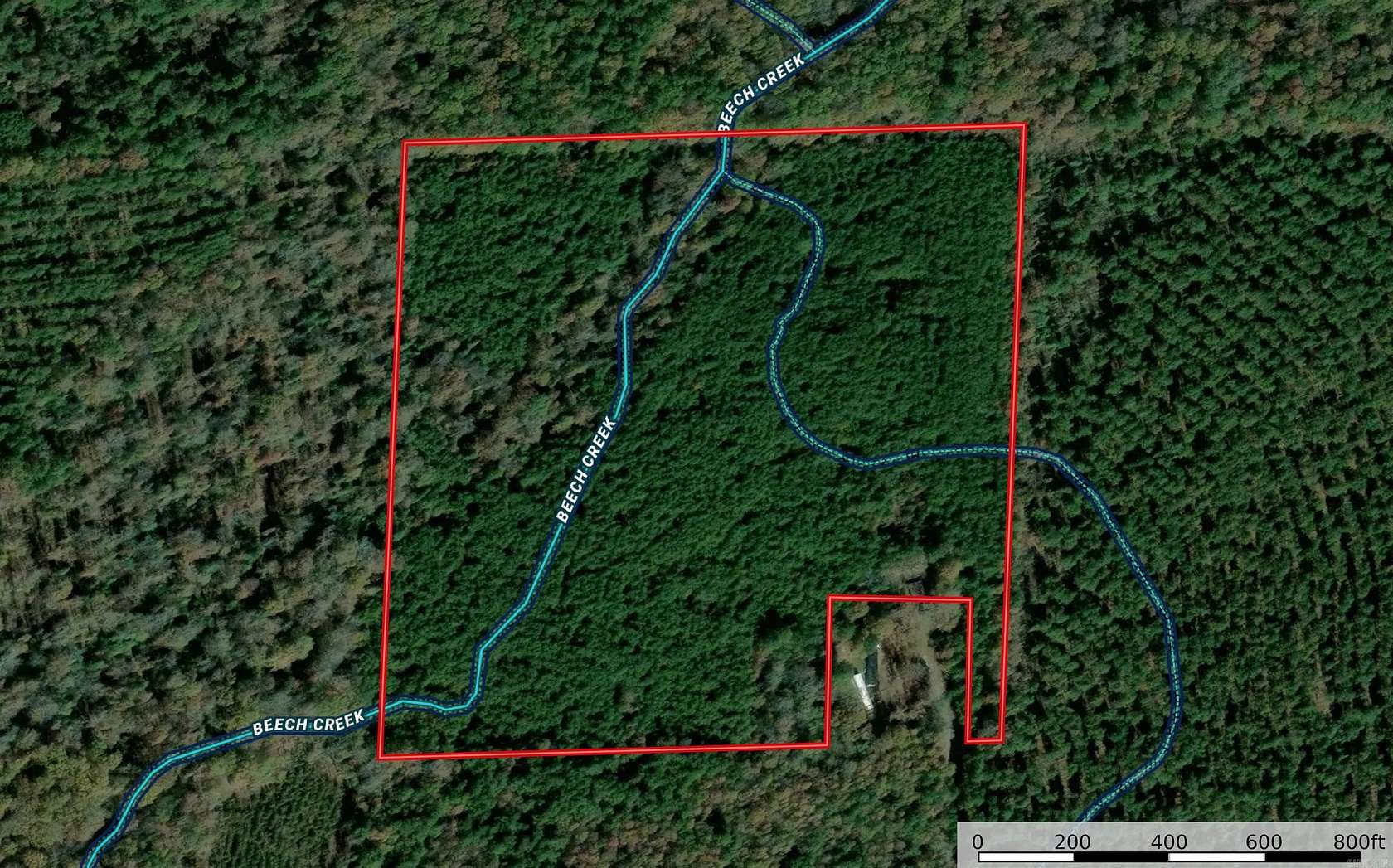 38 Acres of Land for Sale in Carthage, Arkansas