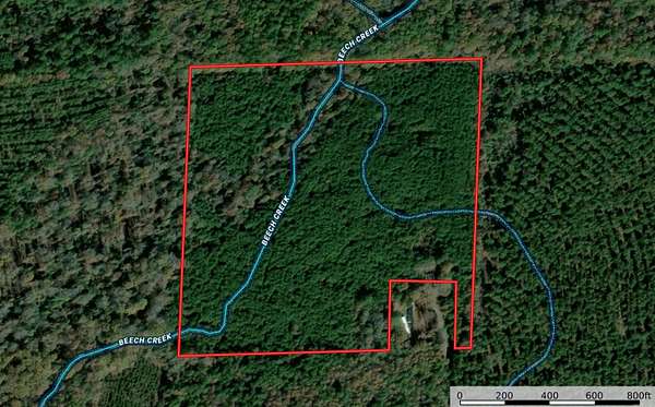 38 Acres of Land for Sale in Carthage, Arkansas