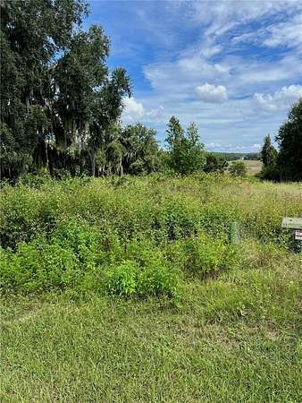 4.77 Acres of Residential Land for Sale in Howey-in-the-Hills, Florida