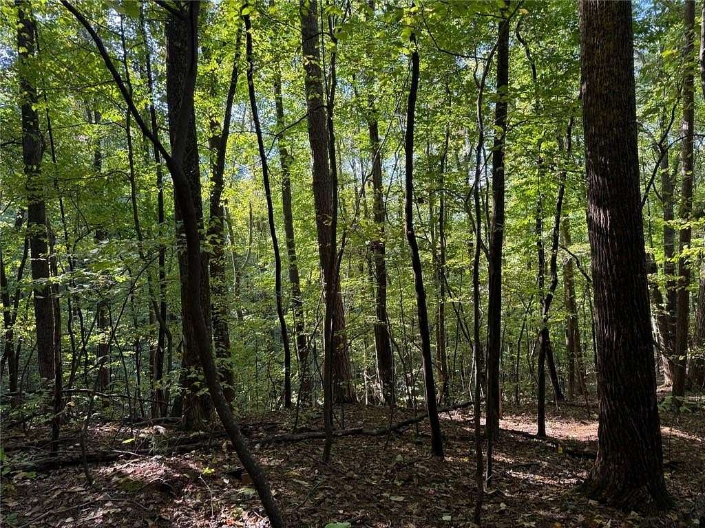1 Acre of Residential Land for Sale in Ellijay, Georgia