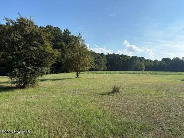 13 Acres of Land for Sale in Sims, North Carolina