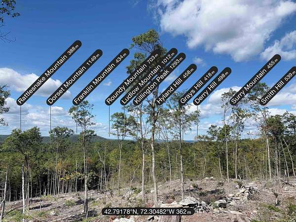 39.3 Acres of Recreational & Residential Land for Sale in Richmond, New Hampshire