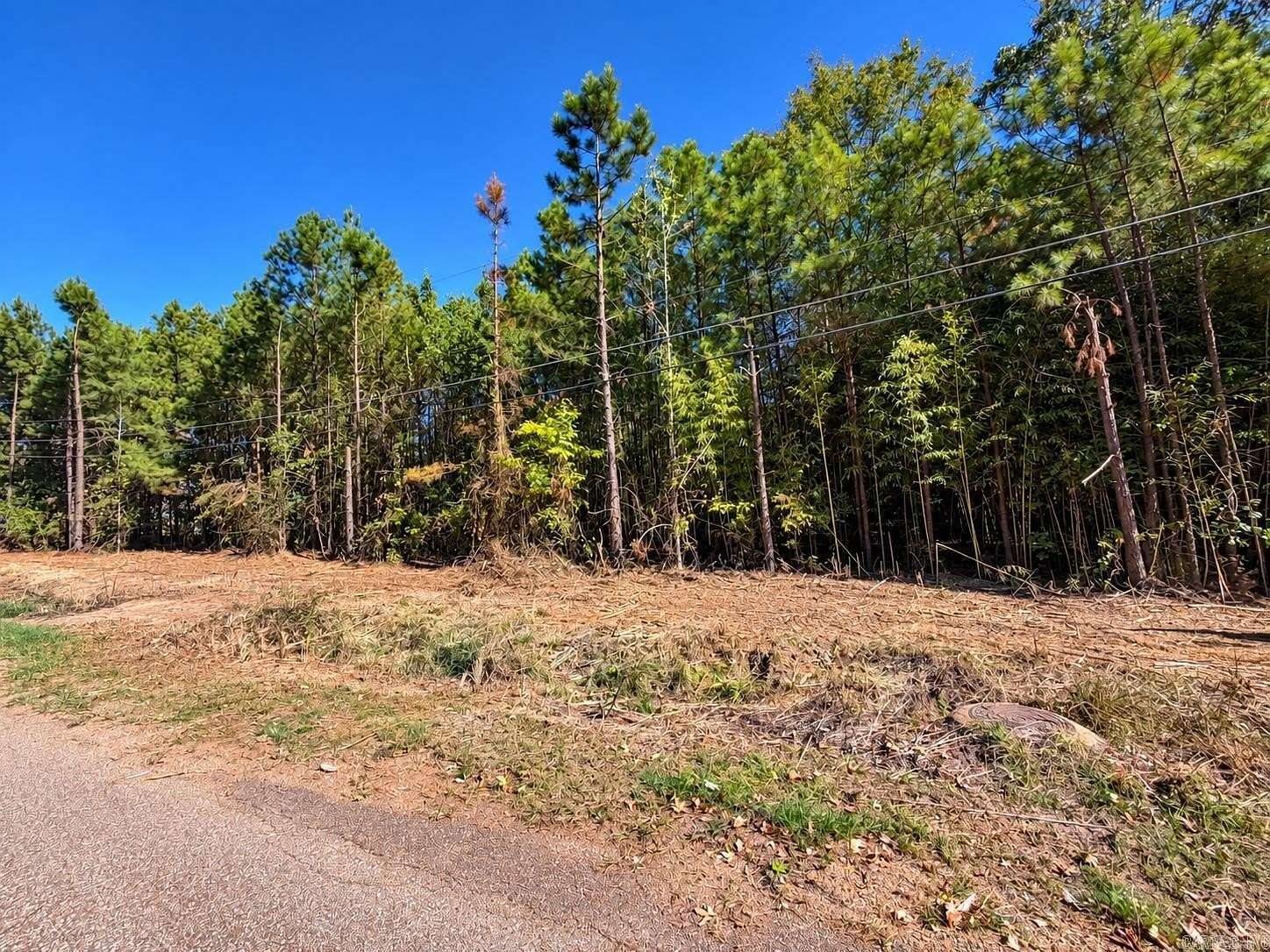 1 Acre of Residential Land for Sale in Fordyce, Arkansas