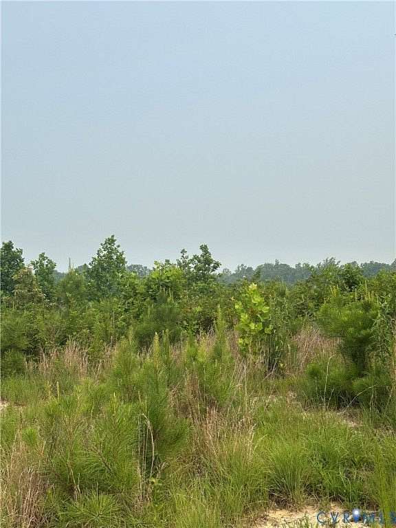 48.9 Acres of Recreational Land for Sale in West Point, Virginia