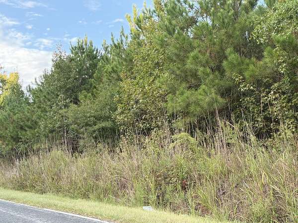 24 Acres of Recreational Land for Sale in Rembert, South Carolina