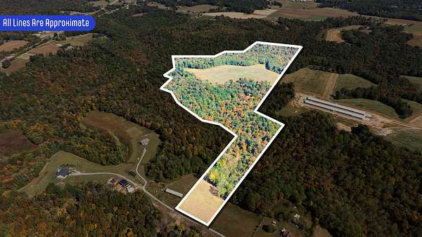 77.2 Acres of Land for Sale in Lafayette, Tennessee