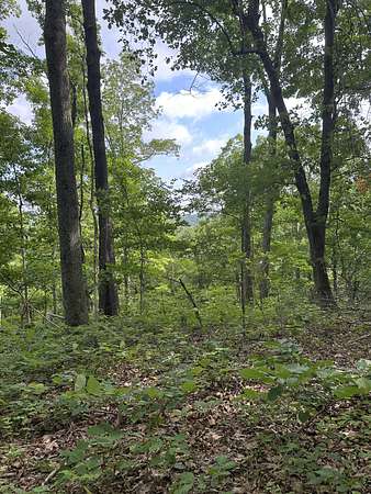 14.2 Acres of Land for Sale in Gallatin, Tennessee