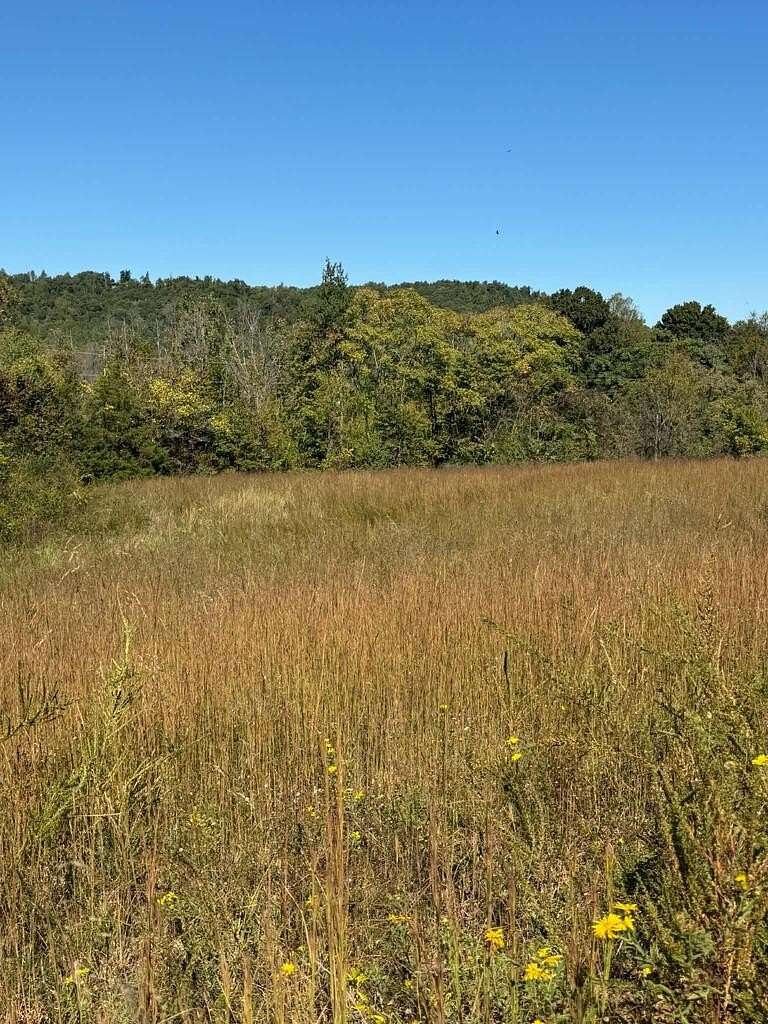 11.7 Acres of Agricultural Land for Sale in Livingston, Tennessee