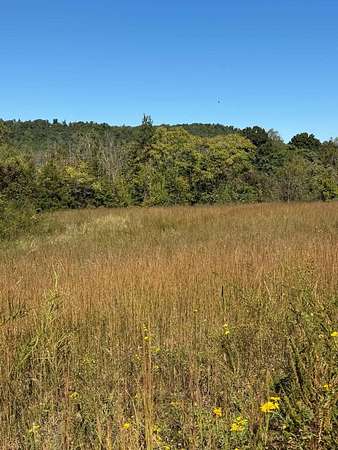 11.7 Acres of Agricultural Land for Sale in Livingston, Tennessee