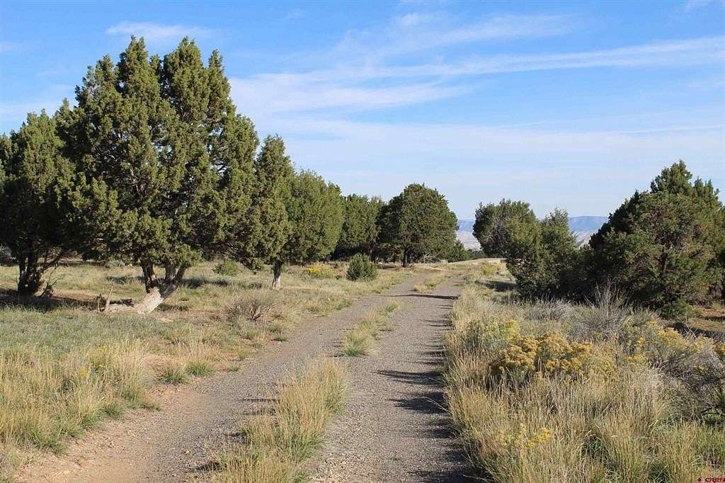 25 Acres of Recreational & Residential Land for Sale in Montrose, Colorado