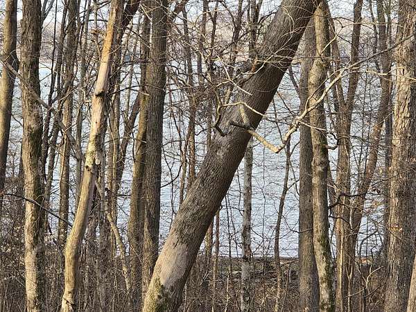 0.25 Acres of Land for Sale in Cadiz, Kentucky