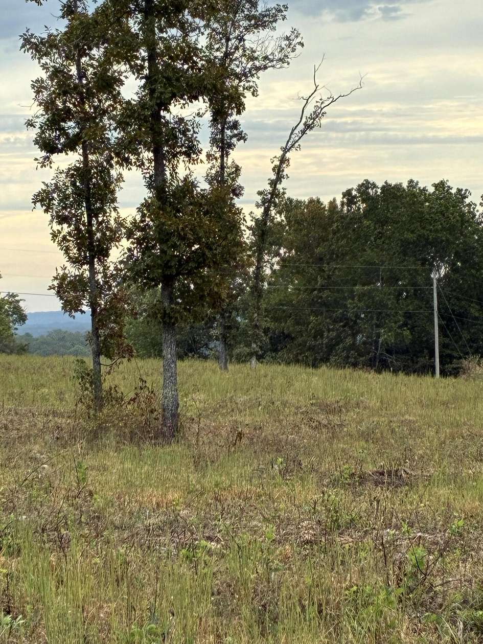 20 Acres of Land for Sale in Ava, Missouri