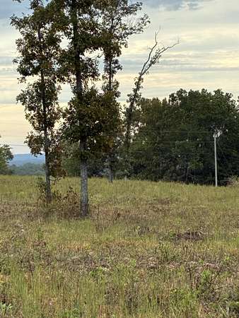 20 Acres of Land for Sale in Ava, Missouri