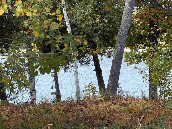 10 Acres of Residential Land for Sale in Charlevoix, Michigan