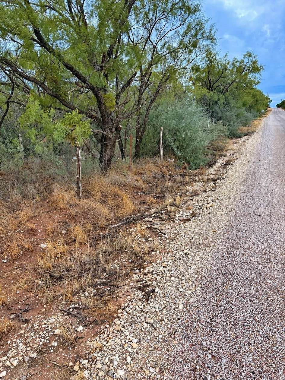 5.2 Acres of Residential Land for Sale in Trent, Texas
