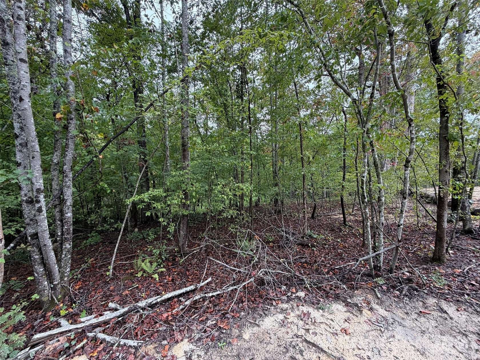 2 Acres of Residential Land for Sale in Rutherfordton, North Carolina