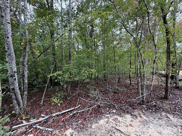 2 Acres of Residential Land for Sale in Rutherfordton, North Carolina
