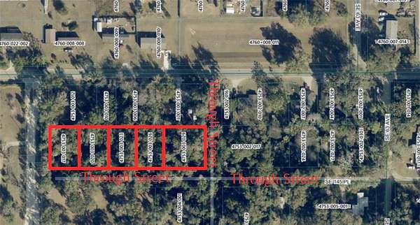 1 Acre of Residential Land for Sale in Summerfield, Florida