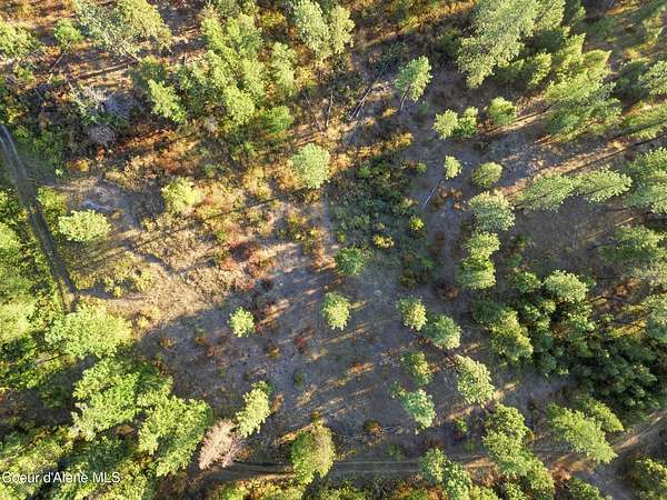 10 Acres of Residential Land for Sale in Priest River, Idaho
