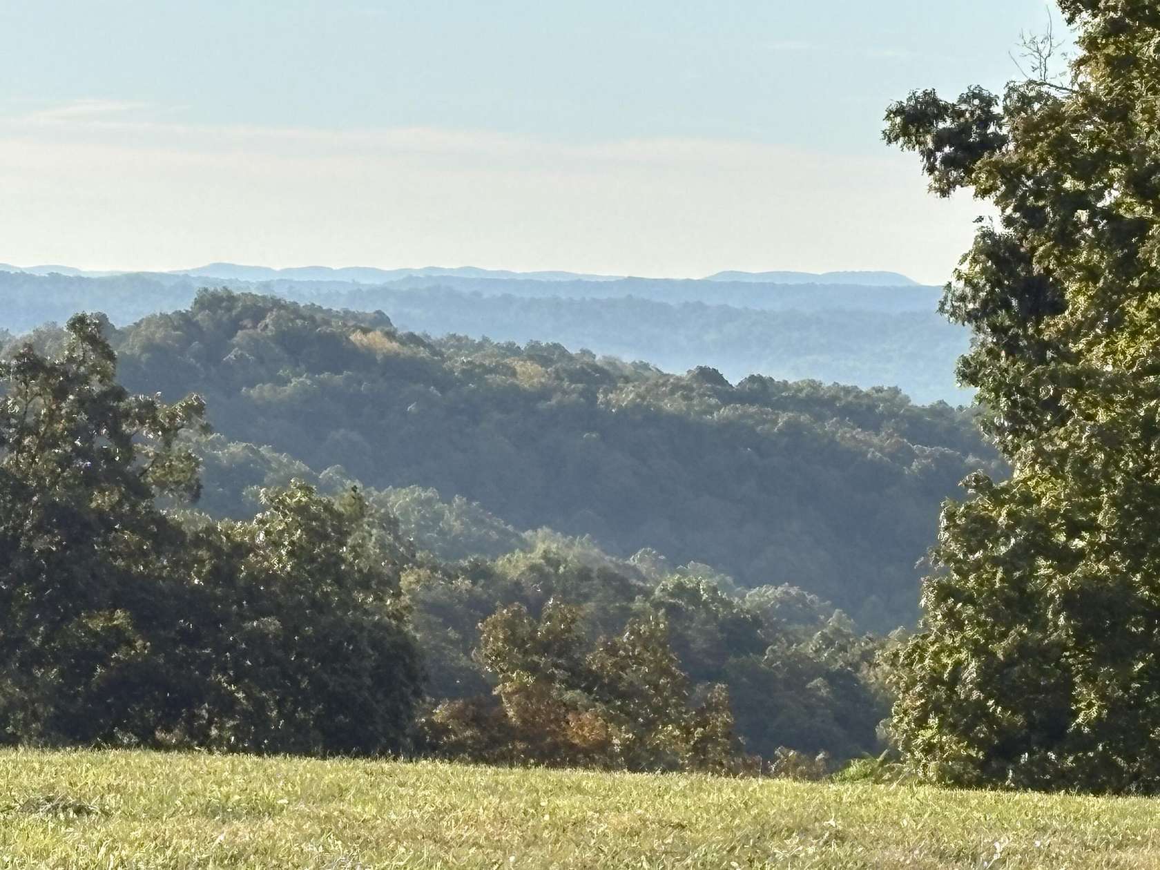 20 Acres of Recreational & Residential Land for Sale in Jamestown, Kentucky