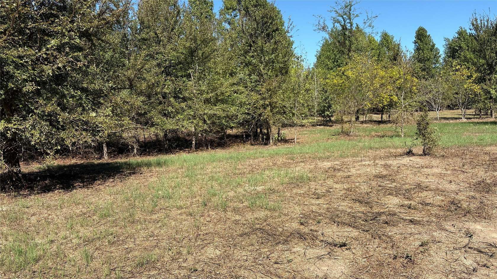 3.52 Acres of Residential Land for Sale in Quitman, Texas