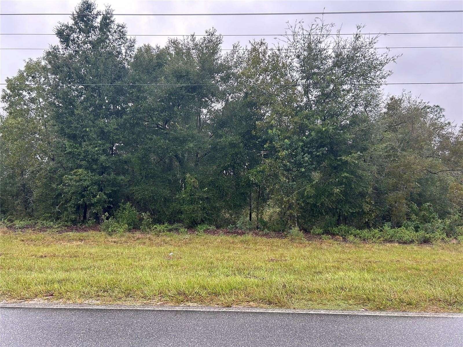 1.2 Acres of Residential Land for Sale in Bronson, Florida
