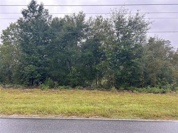 1.2 Acres of Residential Land for Sale in Bronson, Florida