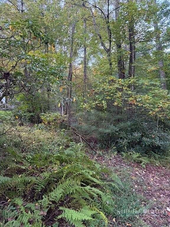 12 Acres of Land for Sale in Ennice, North Carolina