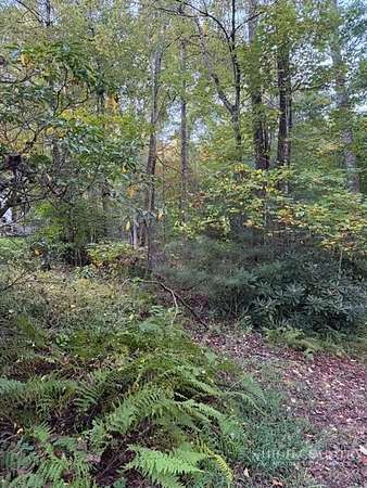12 Acres of Land for Sale in Ennice, North Carolina