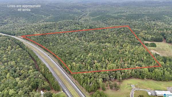 46 Acres of Land for Sale in Goodwater, Alabama