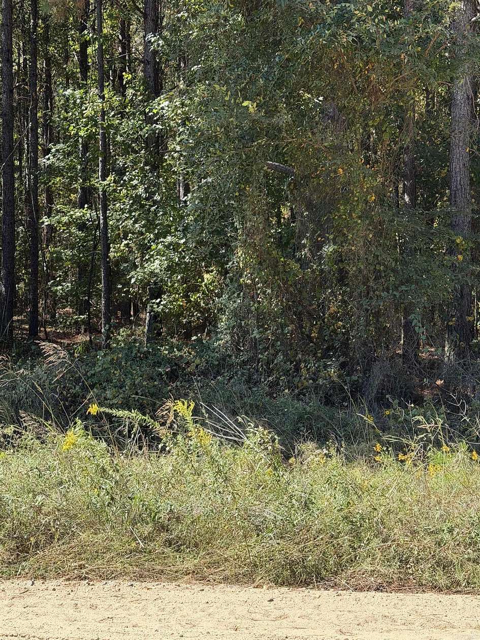 3 Acres of Residential Land for Sale in Pine Bluff, Arkansas