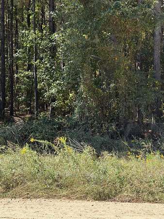 3 Acres of Residential Land for Sale in Pine Bluff, Arkansas