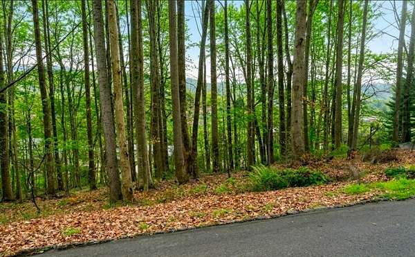 0.44 Acres of Residential Land for Sale in Bristol, Tennessee