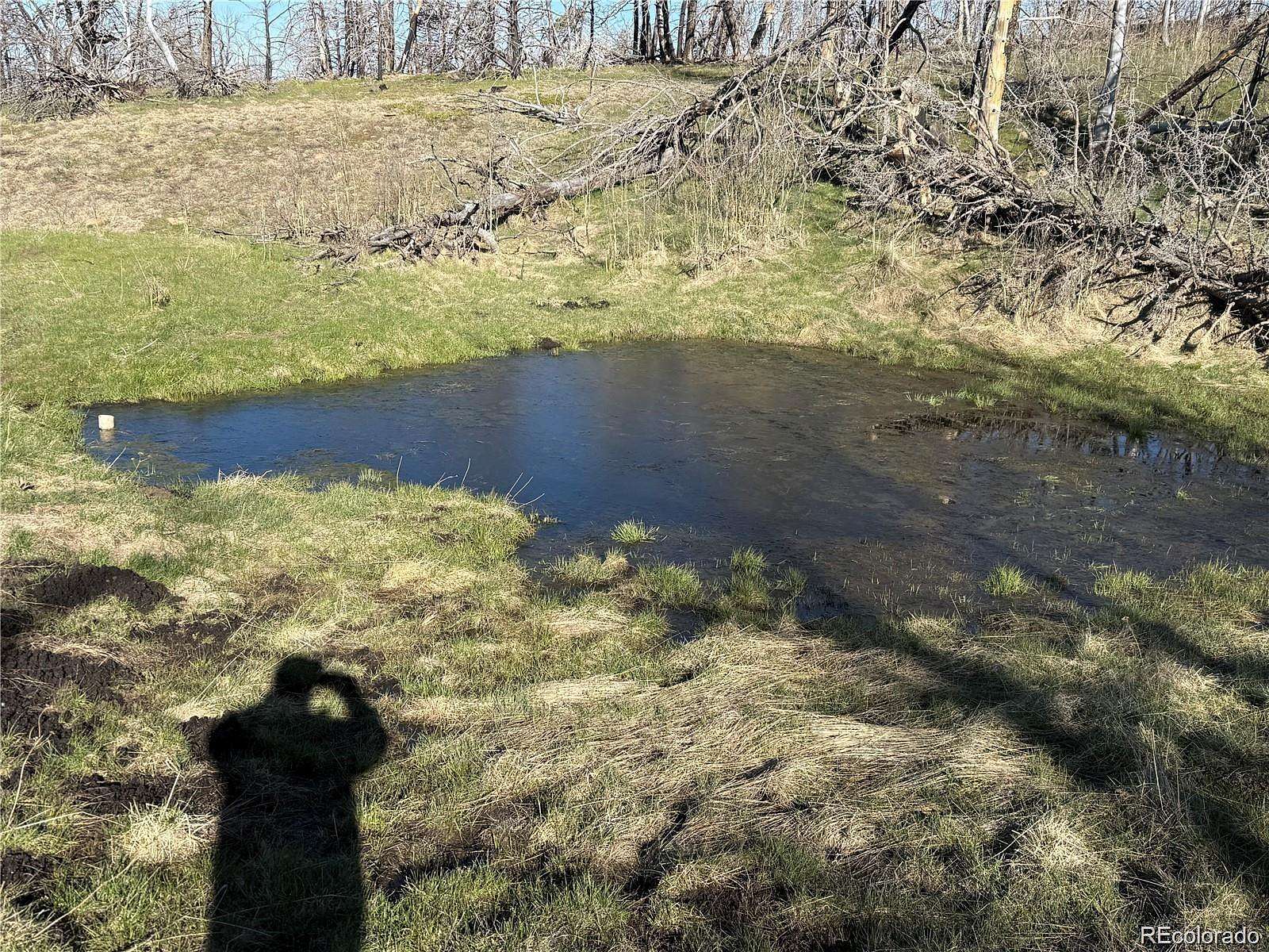 42.4 Acres of Land for Sale in Fort Garland, Colorado