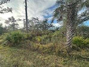 0.23 Acres of Residential Land for Sale in Port Charlotte, Florida