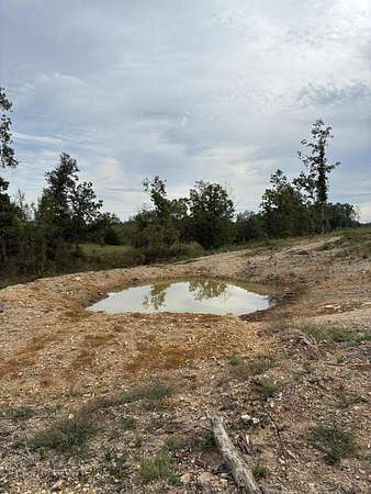 43 Acres of Land for Sale in Ava, Missouri