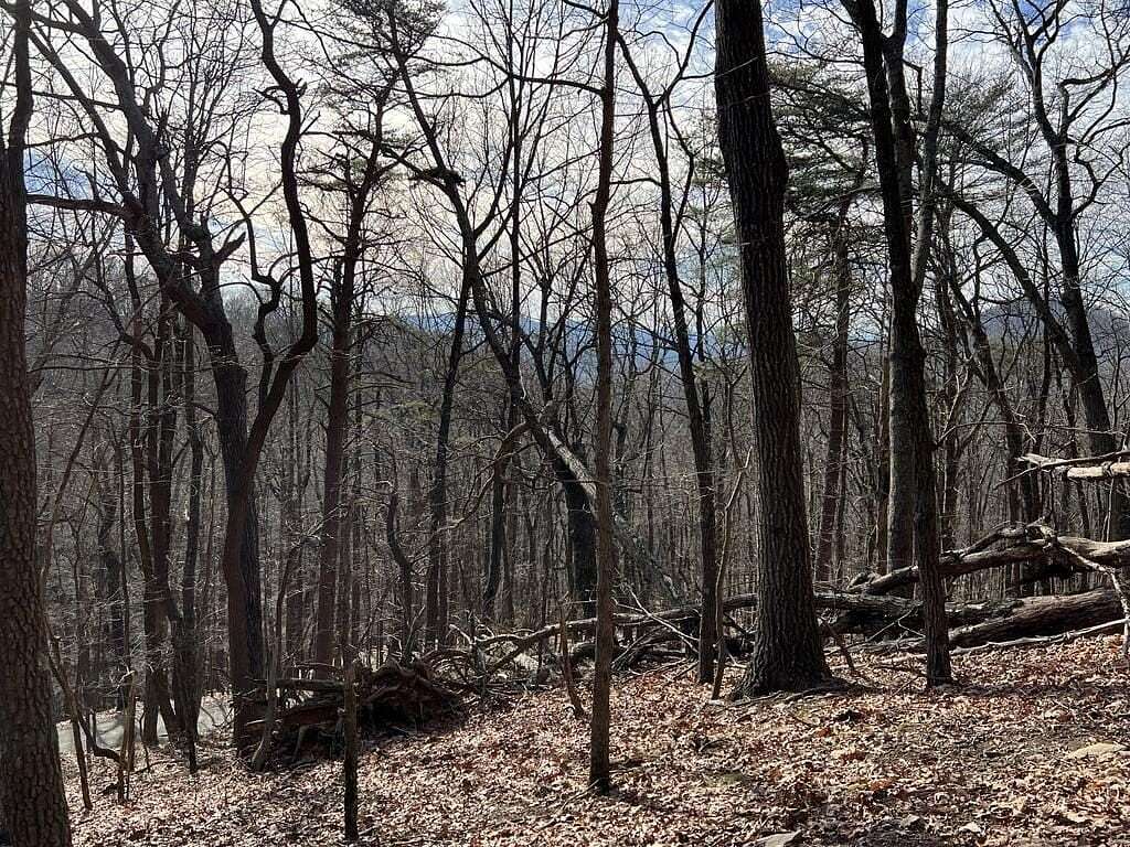 1.2 Acres of Land for Sale in Jasper, Georgia