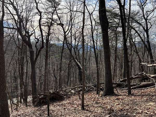 1.2 Acres of Land for Sale in Jasper, Georgia