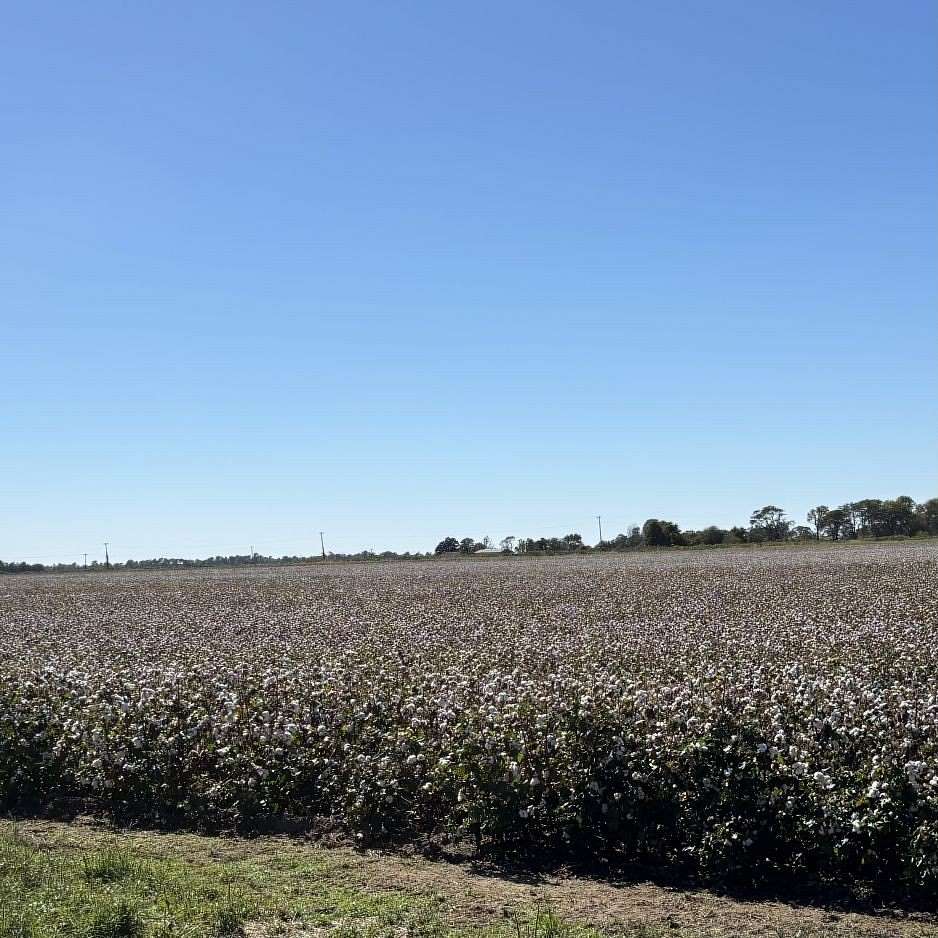 150 Acres of Land for Sale in Big Prairie Township, Missouri