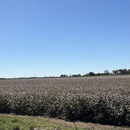 150 Acres of Land for Sale in Big Prairie Township, Missouri