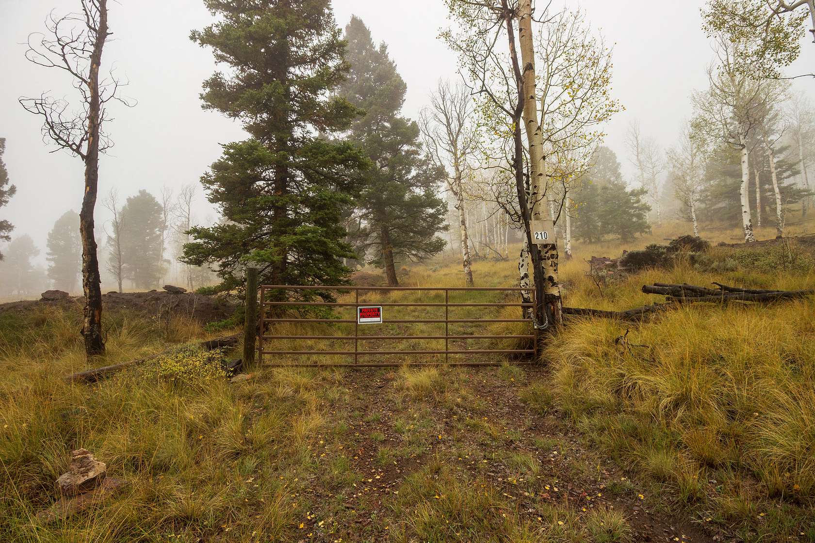 3.2 Acres of Land for Sale in Powderhorn, Colorado