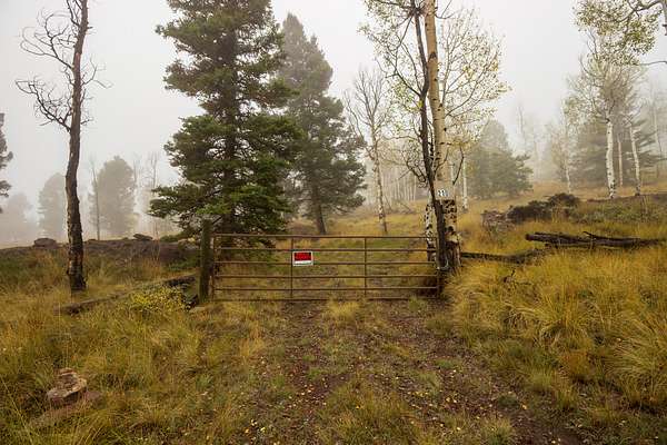 3.2 Acres of Land for Sale in Powderhorn, Colorado