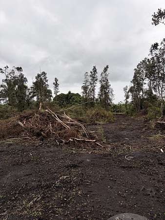 2 Acres of Land for Sale in Kurtistown, Hawaii