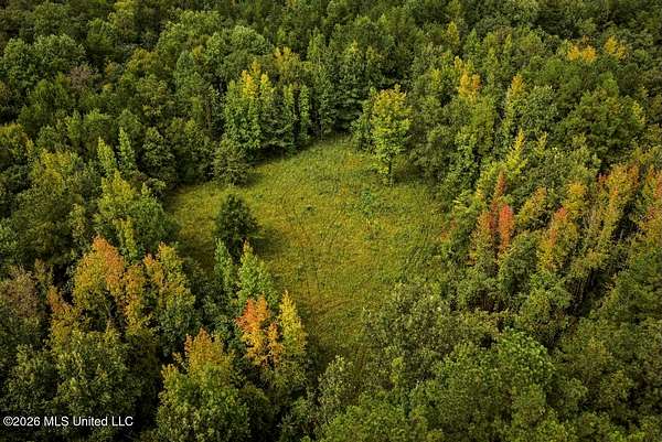900 Acres of Land for Sale in Liberty, Mississippi