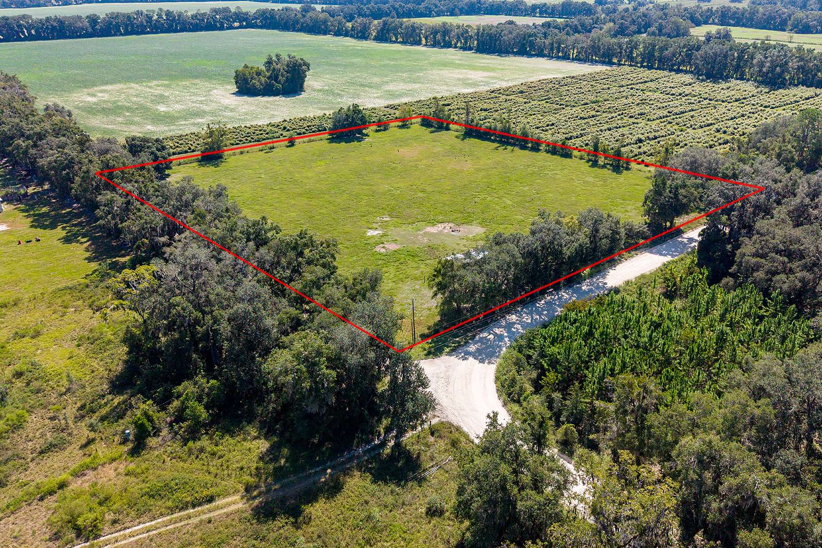 6 Acres of Agricultural Land for Sale in Newberry, Florida