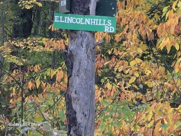 10.2 Acres of Recreational Land for Sale in Luther, Michigan