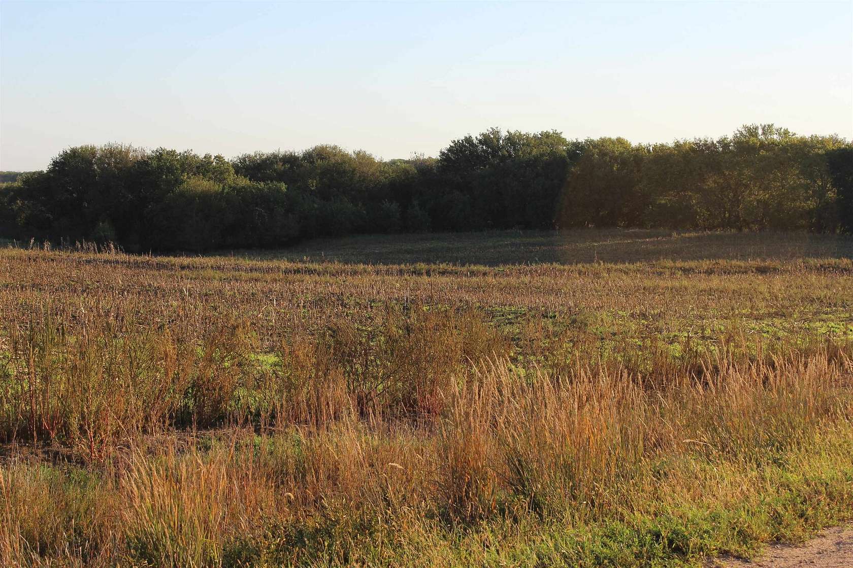 156 Acres of Land for Sale in Aurora, Kansas